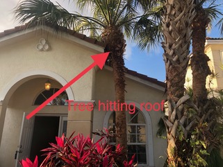 Cornerstone Home Inspections photo &mdash; Jupiter & Palm Beach County